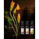Steirisches Prekmurje-Kürbiskernöl 20 ml